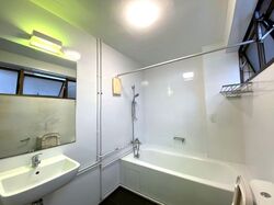 The Cairnhill (D9), Condominium #598337631